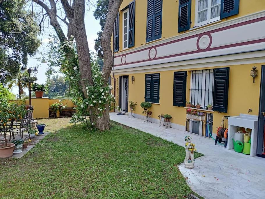 Apartment Casetta Jacaranda *